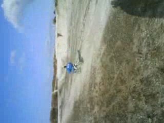 clairière de courtisols