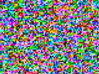 Galapagos Cruises Video sea turtles 02