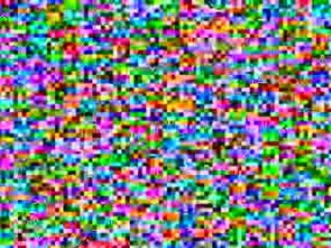 Galapagos Cruises Video sea turtles 02