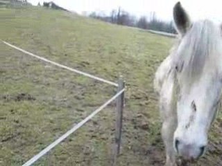 délire avec les nouilles