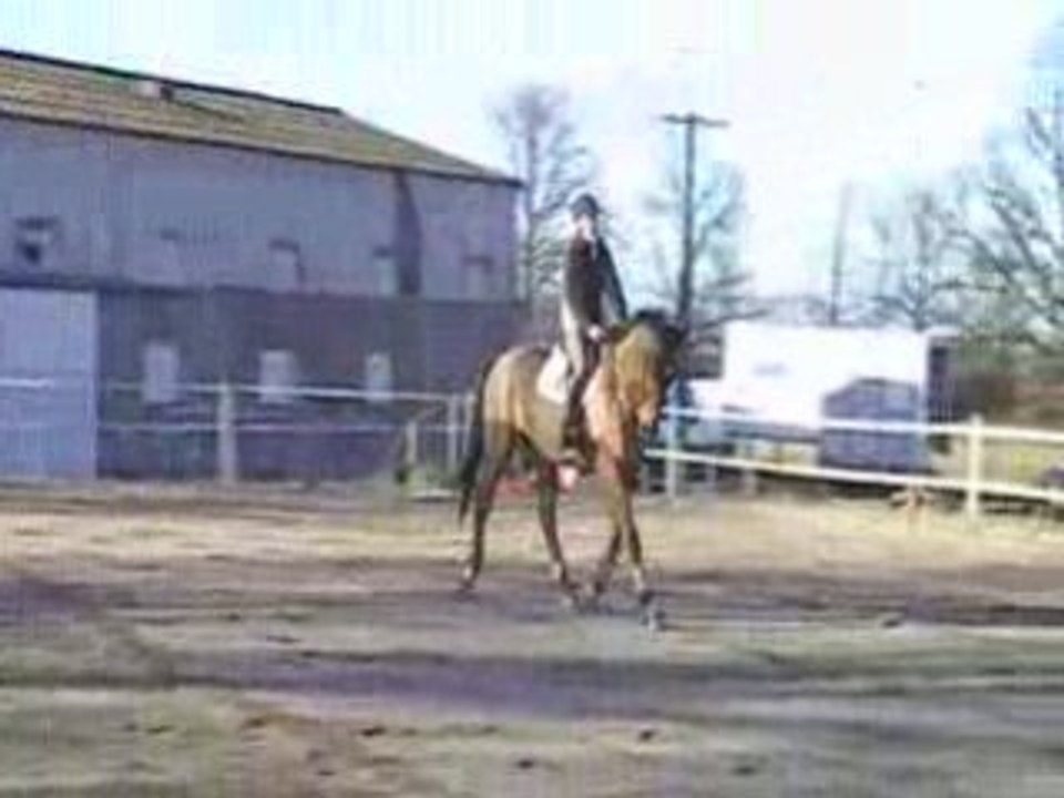 MOV07F