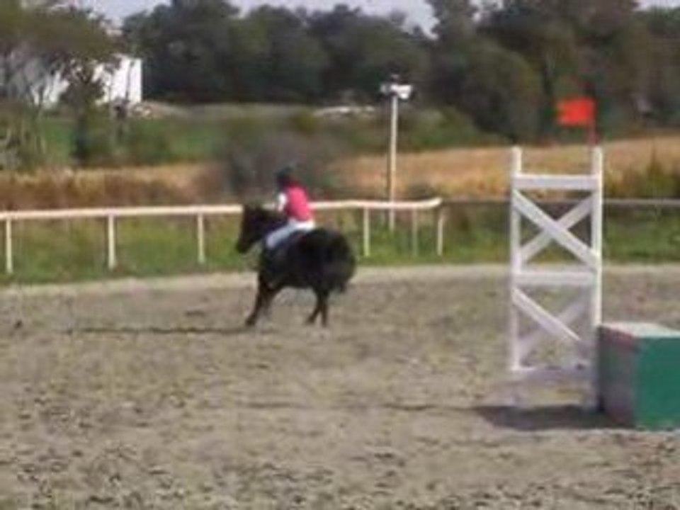 Léna et Major à Theix