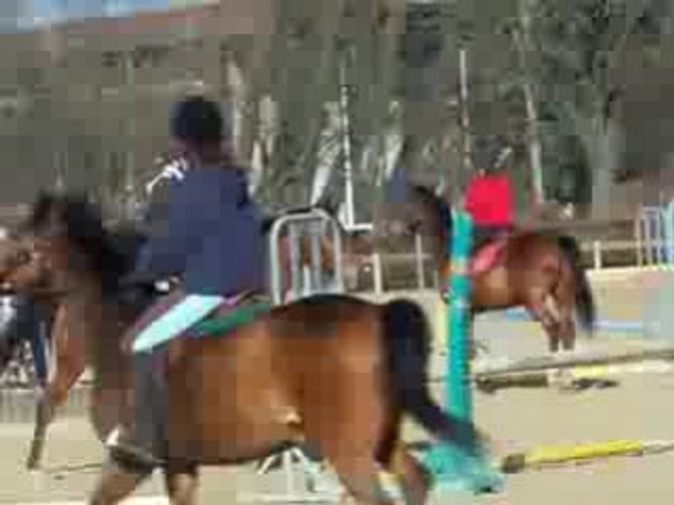 Daphné et joyau saut