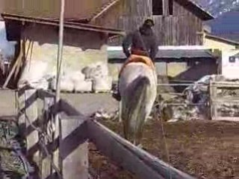 Sonho entra'inement spectacle