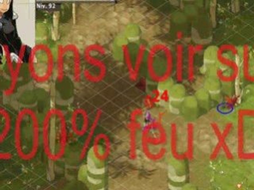 dofus storm-fire iop feu