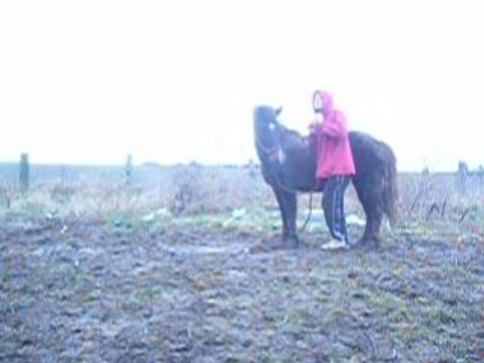 Photo 010