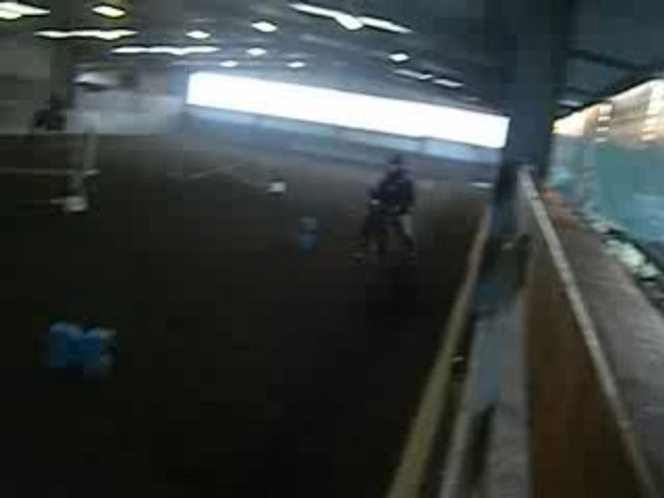 Aramis Et Moi Le 14.02.09 Cour D'obstacle