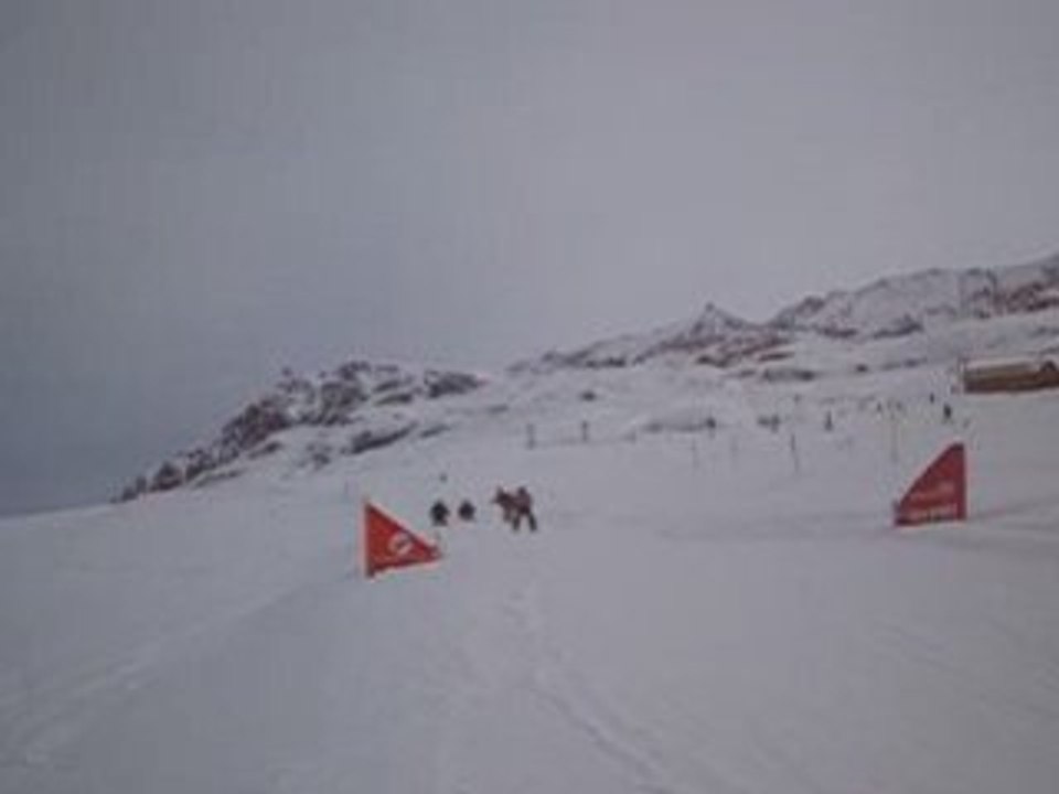 Ski Cross