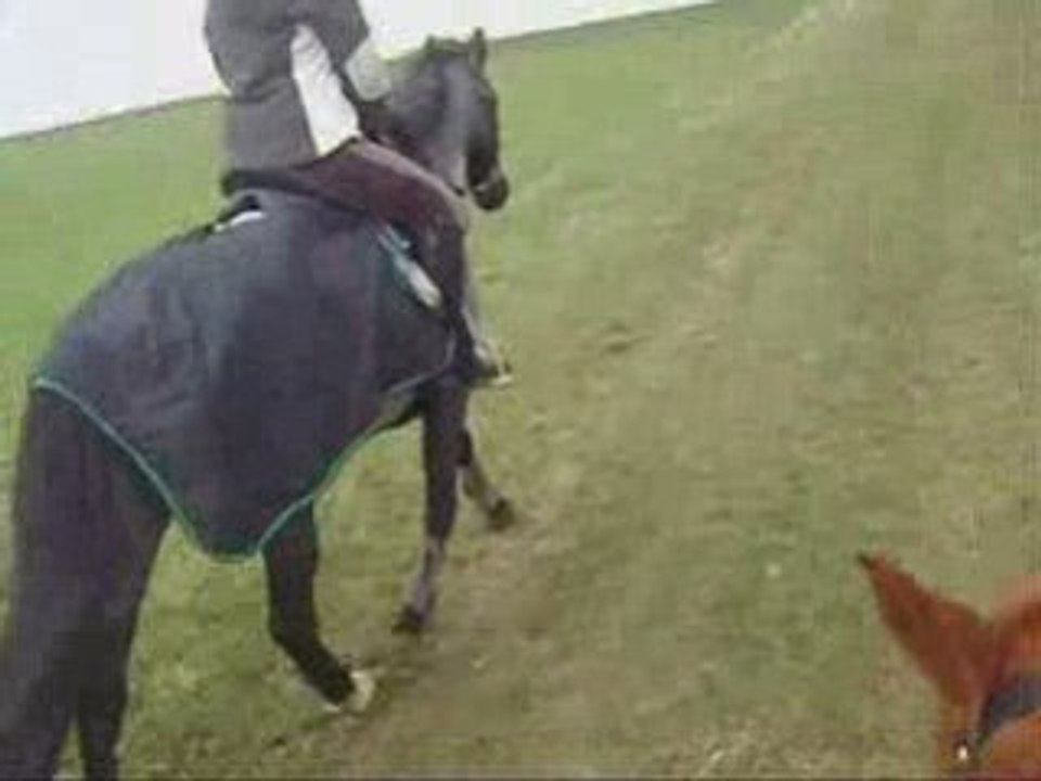 Balade avec libella && les amis =)