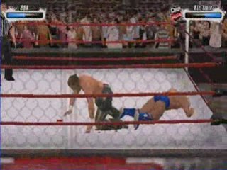 Hbk vs ric flair . steel cage match