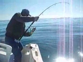 sofiane jigging un pagre de 8kg