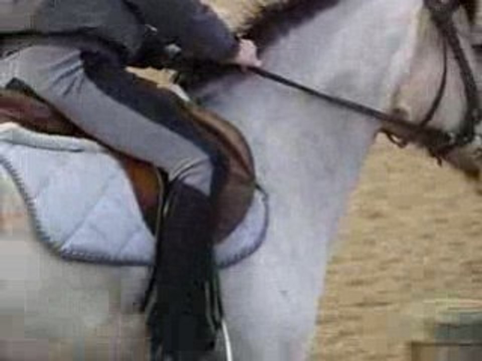 Chute cheval