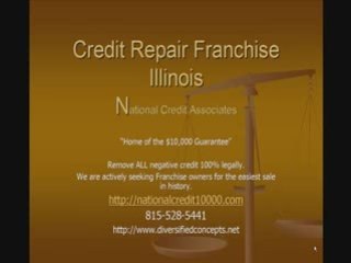 Credit Repair Franchise Illinois