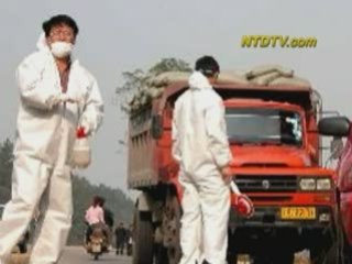 Bird Flu Outbreak in Xinjiang Province