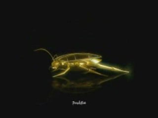 Video VA - On ne sait pas abandonner -