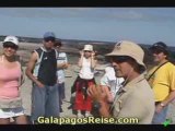 Galapagos Tour - The Galapagos Islands 0007