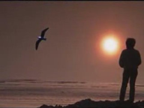 Petits Chanteurs de Trois-Rivières - Polyphonies