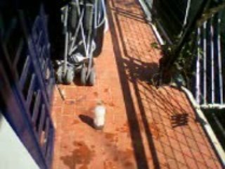 A la mierda boteliita jajaja