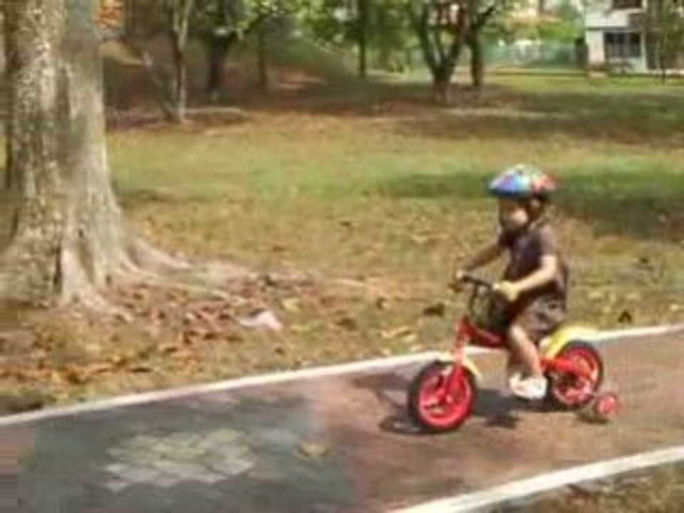 AuParc-Milapedale-15jan09