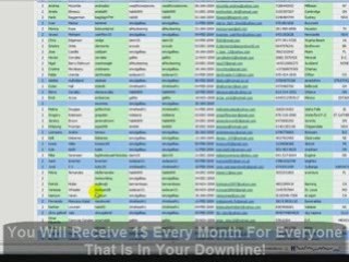 Monavie Review! Watch This Video! You Need To Know This