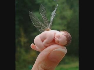 Dj taucher  child of the universe radio edit