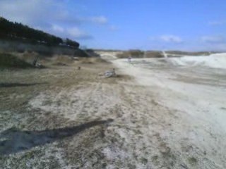 clairière de courtisols