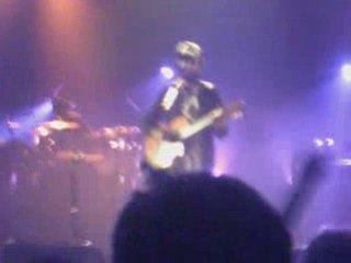 Patrice - Dove of Peace - Amiens