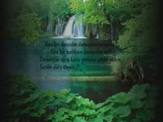 DEMEDİM Mİ? (Mevlana)