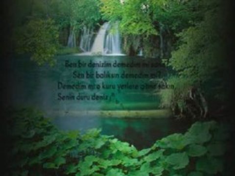 DEMEDİM Mİ? (Mevlana)