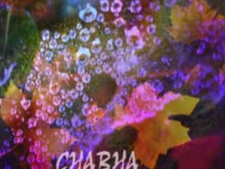 CHABHA-ceh ceh