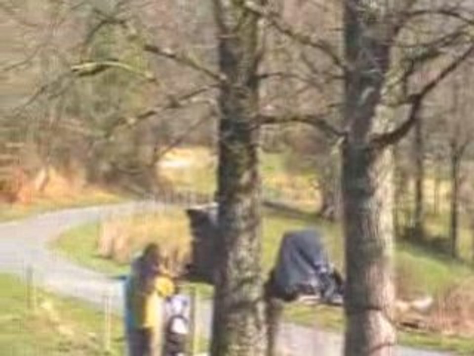 rallye 24 dordogne perigord 2009