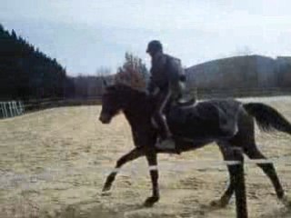 Vidéo0023
