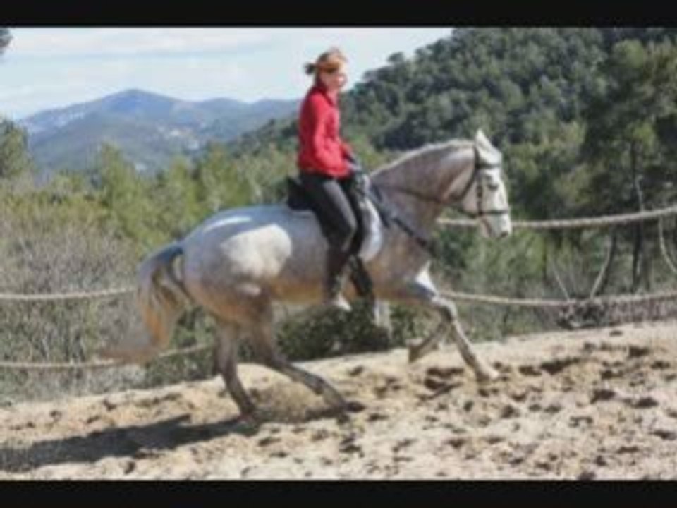Travail du galop