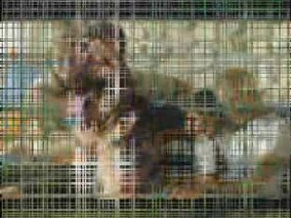 pulsar duygusal melodisi - pulsar ve calar