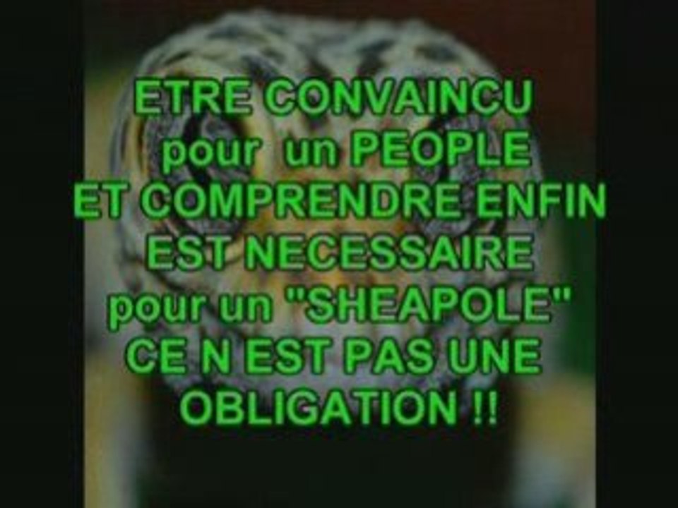 REPTILIENS REVELATION FINALE  2012