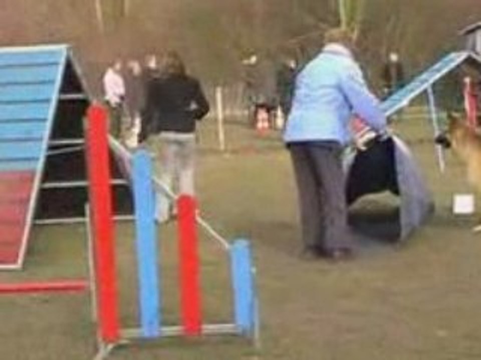 Chubby agility 31/01/09 et 14/02/09
