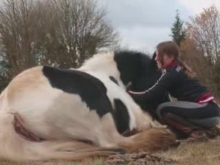 Couché d'une jument