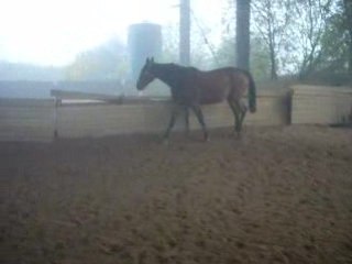 OR 2008 10 28 Liberte