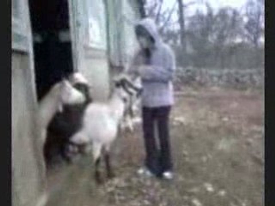 Photos et videos de pleins de trucs .__.