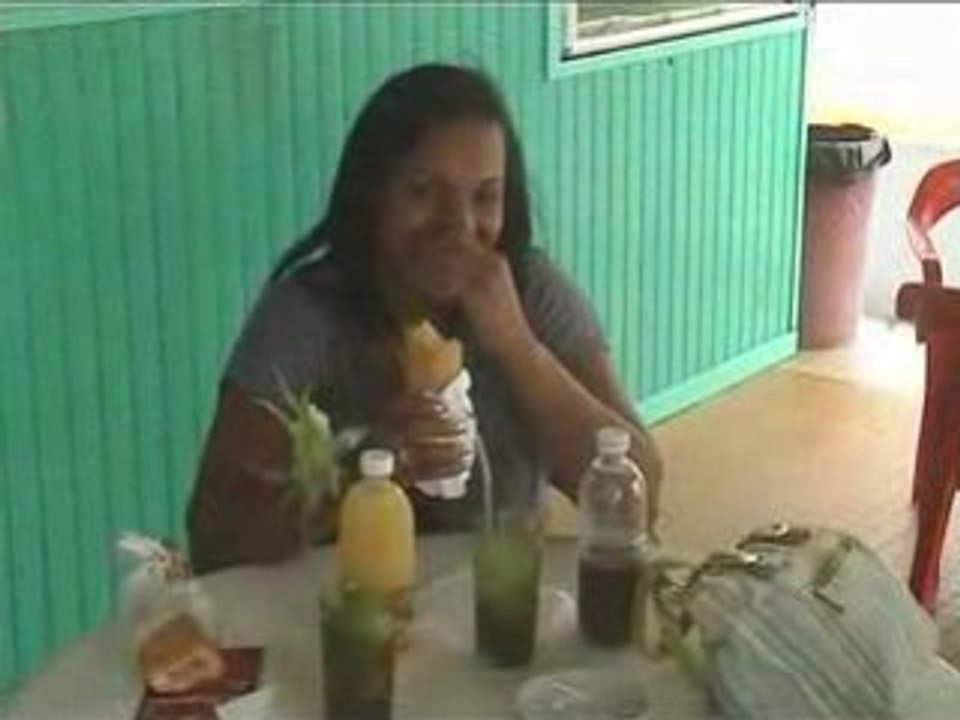 Elrinne tourné promo gwada 2008 et 2009