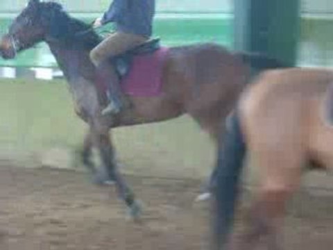 OR 2008 12 20 Galop MG