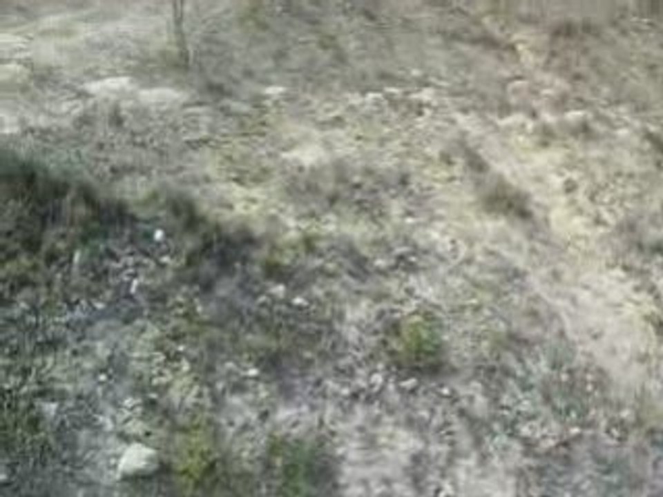Video Quad Sud