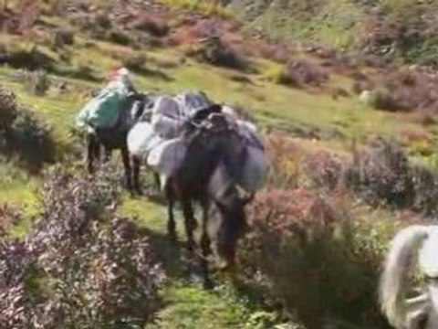 Yaşar çelik çamlıhemşinden selam-kavrun.tr.gg