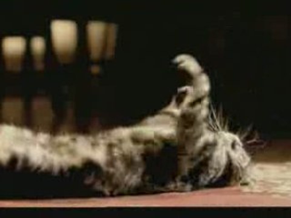 Gag chat foot! Euro2004