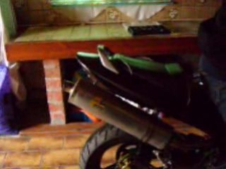 hornet 2003 pot leovinc