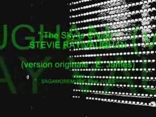 The Sky Is Crying#SRV#cover#JVLES Feat. Sagamore