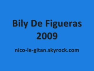 Bily de figueras 2009