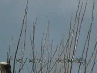 Paranormal TV - Anthony Woods - UFO Magnet - Conclusion