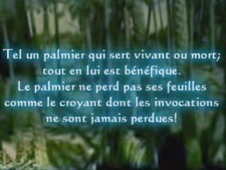 Le croyant est tel un palmier