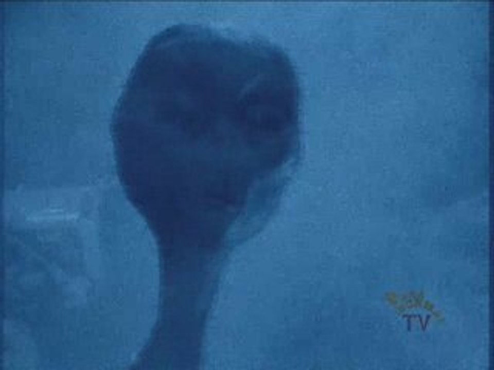 Paranormal TV - The Abduction of Antonio Villas Boas